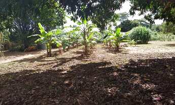 Imagem 4: Chácara na região do Rio manso