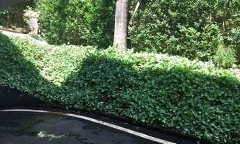 Imagem 3: Casa de condomínio para venda tem 750 m2 com 4 quartos