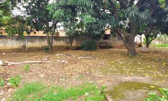 Imagem 4: LOTE 864 m² - AV. LIBERDADE, ST GARAVELO