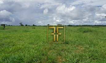 Imagem 2: Fazenda 1,5 Alqueires, Bela Vista de Goiás, GO