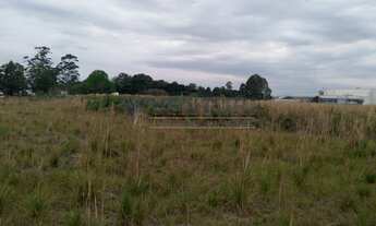 Imagem 4: SãO JOSé DOS PINHAIS - Terreno Padrão - Campo Largo da Roseira