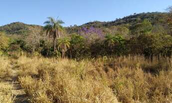 Imagem 3: Fazenda para venda possui 59 alq. munícipio de Fazenda Nova/GO