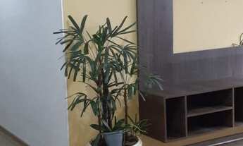 Imagem 3: OPORTUNIDADE!!! APARTAMENTO 02 DORMS 01 VAGA! 318 MIL! 64 MTS!