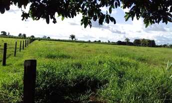 Imagem 4: Fazenda mirassol ( mirassol do oeste