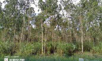 Imagem 4: Fazenda com potencial para agricultura no Pium-TO