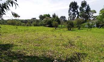 Imagem 5: Excelente Chácara Com 36.000 m2 590.000 com a possibilidade de vender 15.000 m2 285.000