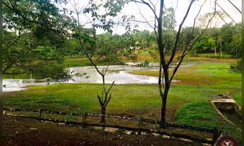 Imagem 4: Excelente Chácara em Senador Canedo