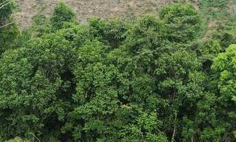 Imagem 4: Sítio à venda, 40000 m² - Estação - Ascurra/SC