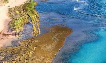 Imagem 2: Rara oportunidade: Lote nascente á 100 m das Piscinas naturais, Praia do Forte BA