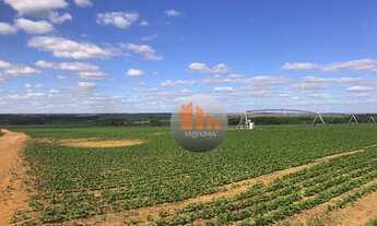 Imagem 2: Fazenda à venda, 2.200 hectares por R$ 280.000.000 - Cristalina/GO