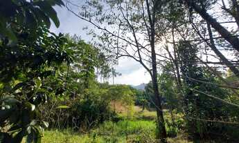 Imagem 5: Chácara para venda tem 12500 metros quadrados - Corupá - Santa Catarina