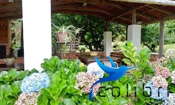 Imagem 4: Linda Chácara para lazer ou moradia com registro de imóveis