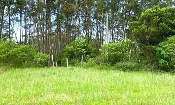 Imagem 4: TERRENO RESIDENCIAL em GAROPABA - SC, CAMPO D'UNA