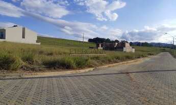 Imagem 7: BORDA DA MATA - Terreno Padrão - Santa Terezinha