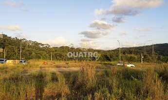 Imagem 3: Terreno em Condomínio Parque em Blumenau