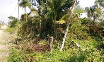 Imagem 3: Terreno Amplo com 490,00 m2 - Praia do Ervino