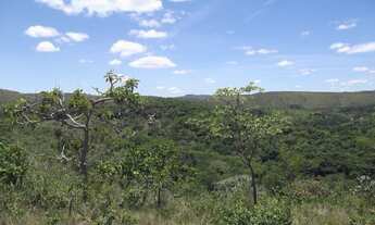 Imagem 5: Erreno rural de 15 ha,pertinho da Serra do Cipó(Temos varias opçoes)