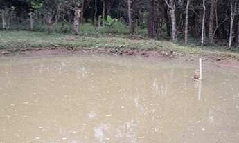 Imagem 2: Chácara à venda, 2000 m² por R$ 94.900 - Centro - Cerro Azul/PR