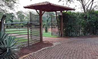 Imagem: Nova Veneza - Chácara - Zona Rural