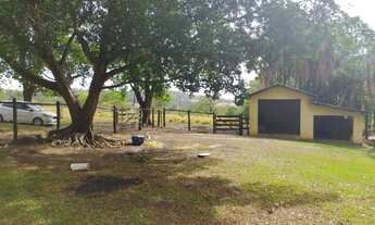 Imagem 2: Fazenda - Professor Jamil (GO