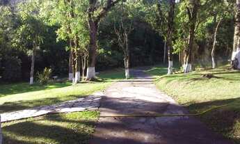 Imagem 7: Chácara em Campo Largo, com 48.000m²