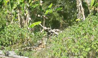 Imagem 3: Vendo terreno em Guaramiranga 10 x 40