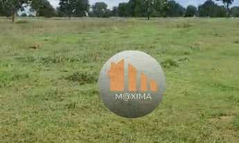 Imagem 3: Fazenda à venda, 580 alqueires por R$ 92.800.000 - Britânia/GO