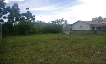 Imagem 3: Terreno com 250m² no bairro Vargem Grande em Florianópolis para Comprar