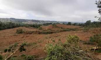 Imagem 7: Terreno contorno Campo Largo industrial 111227m2