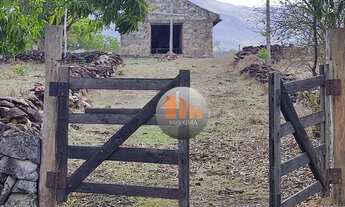 Imagem: Fazenda à venda, 2.725 hectares por R$