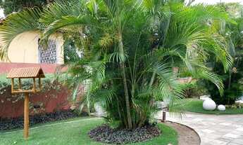 Imagem 5: Casa com 5 dormitórios à venda, 353 m² por R$ 1.400.000,00 - Prata - Campina Grande/PB