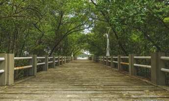 Imagem 6: Terreno Alamoana - Intermares - 530 m² - Excelente Localização