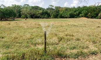 Imagem 5: Chácara com 5.240 m² próxima ao Shopping Flamboyant