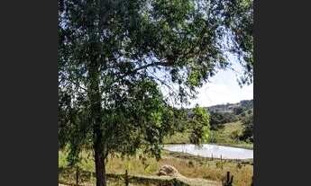 Imagem: 08 Alqueires, Rica em Água, Bela Vista