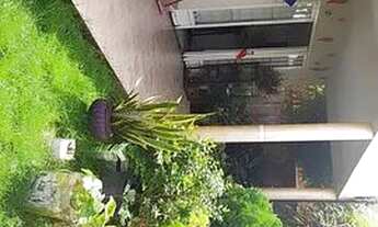 Imagem 4: Vendo-o Casa Nos Morros