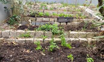 Imagem 7: Casa para venda possui 210 m2 com 3 quartos em Campeche - Florianópolis - SC