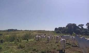 Imagem 6: Lote/Terreno para venda com 2371600 metros quadrados em Nova Tietê - Tietê - SP