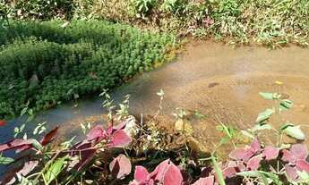 Imagem 6: Vendo sítio em adrianoplis Nova Iguaçu