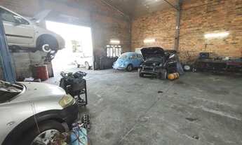 Imagem: Blumenau - Galpão/Depósito/Armazém