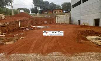 Imagem 3: Macuco - Galpão