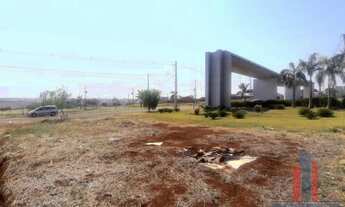 Imagem 4: Venda Terreno MARINGÁ PR