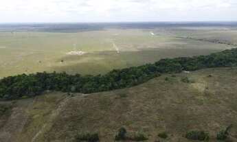 Imagem 7: Fazenda/Sítio/Chácara para venda possui 4356 metros quadrados