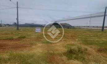 Imagem 7: Terreno Trindade codigo: 24749