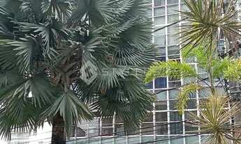 Imagem 2: Lagoa Apartamento com 2 dormitórios