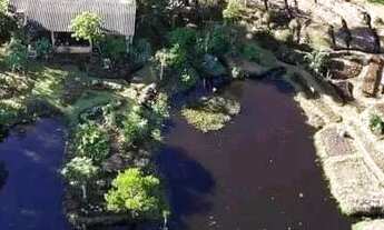 Imagem 5: Vende-se sítio de 7,8 hectares em Itapeva - Torres/RS