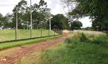 Imagem 3: Chácara à venda, 3760 m² por R$ 520.000,00 - Parque Nacional - Londrina/PR