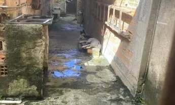 Imagem 5: Vende se casa no tenoné, alacid Nunes