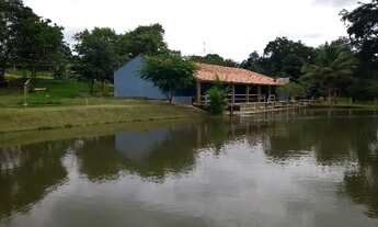 Imagem 3: Vendo chácara de 5 alqueiros 240 mil mts2