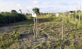 Imagem 1: Terreno em santo amaro das brotas