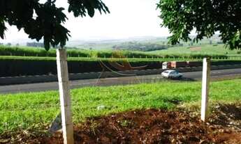 Imagem 5: Salão - Cravinhos - Jardim Bela Vista